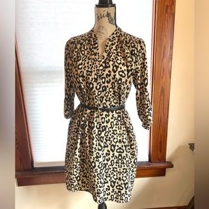 Animal Print Shirt Dress